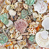 greenseashells